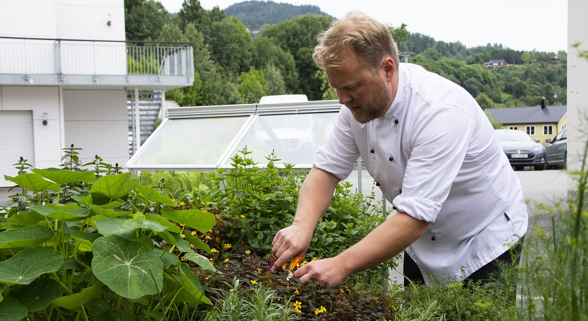 Bj%c3%b8rn%20Erik%20Vangen%20Leksvik%20helsetun_1200x650.jpg (1)