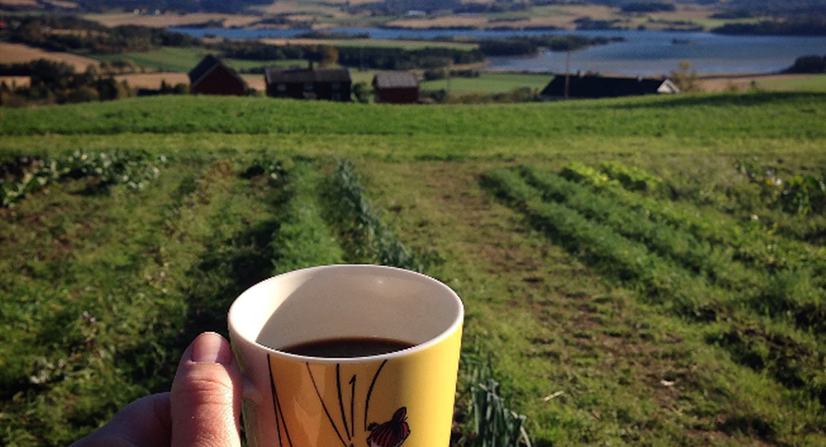 Inderøy Kaffebrenneri