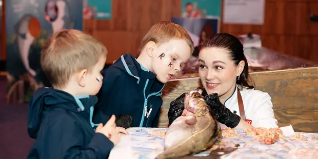 54418436185 Abff894199 C