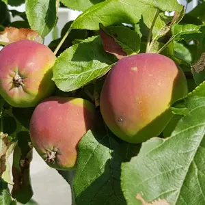 51364881373 Fd18f3d843 K 2