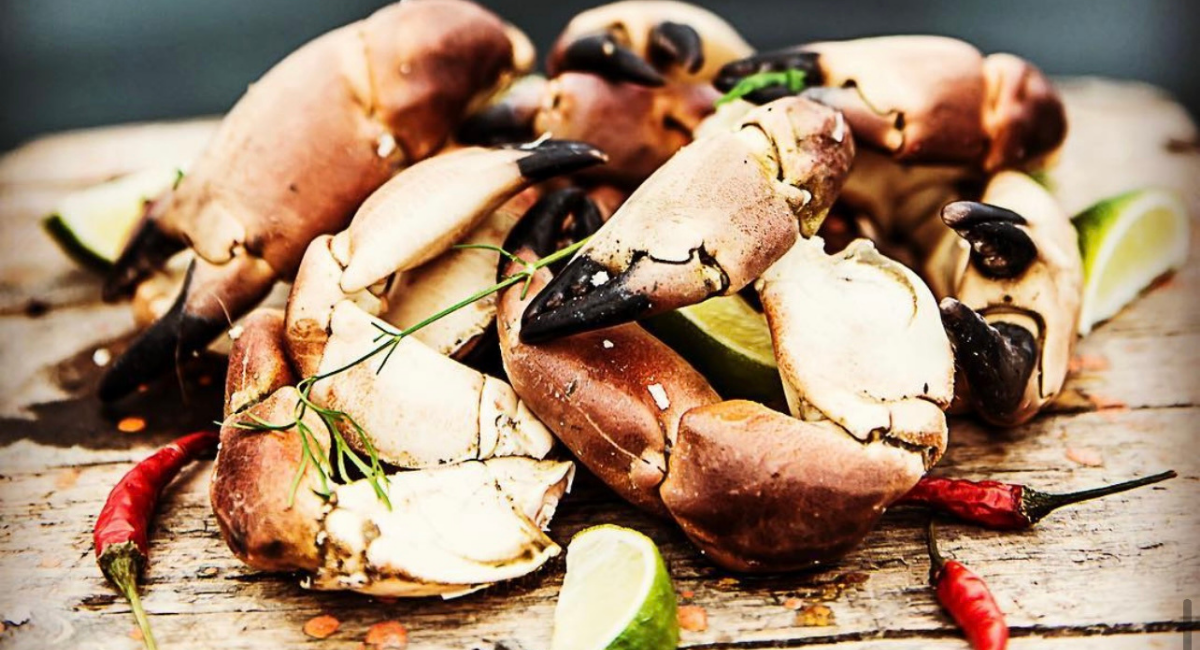 Krabbekl%c3%b8r,%20Hitramat.png (1)